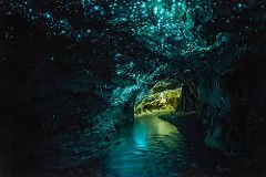 New Zealand Glow Worm Caves