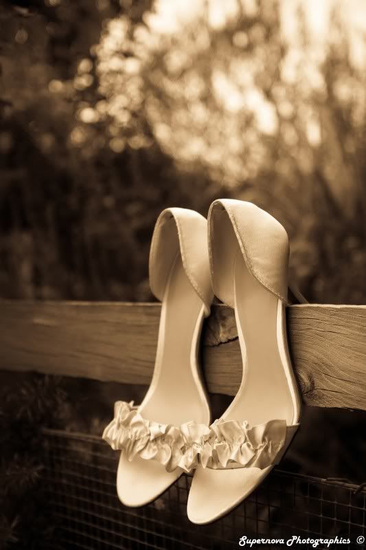 IMAGE: http://i12.photobucket.com/albums/a225/supernova74/AimeeTroy_373.jpg