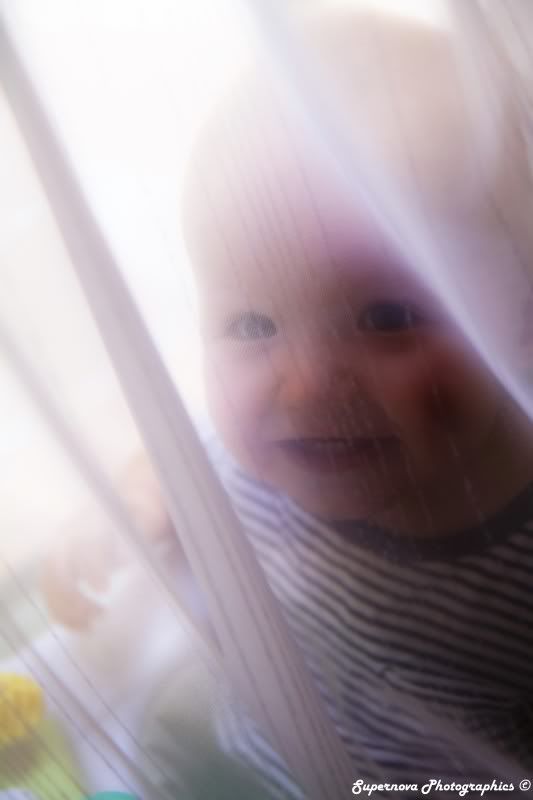 IMAGE: http://i12.photobucket.com/albums/a225/supernova74/IMG_4537.jpg