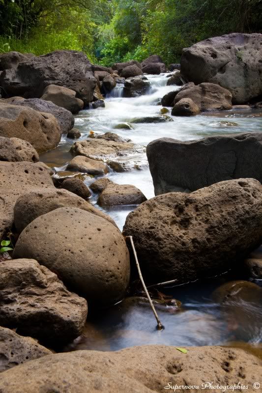 IMAGE: http://i12.photobucket.com/albums/a225/supernova74/IMG_4652.jpg