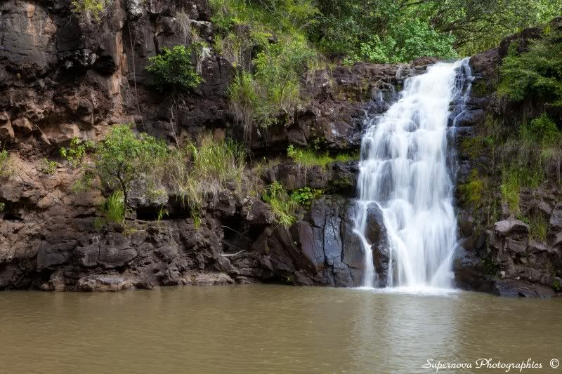 IMAGE: http://i12.photobucket.com/albums/a225/supernova74/IMG_4682.jpg