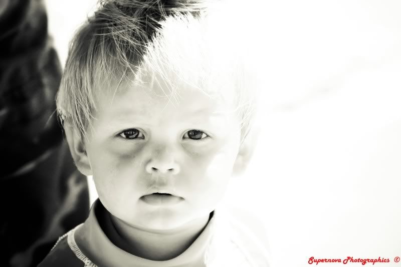 IMAGE: http://i12.photobucket.com/albums/a225/supernova74/IMG_5101.jpg