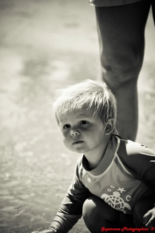 IMAGE: http://i12.photobucket.com/albums/a225/supernova74/IMG_5135.jpg