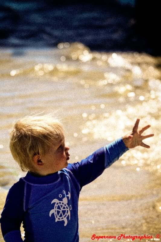 IMAGE: http://i12.photobucket.com/albums/a225/supernova74/IMG_5147.jpg