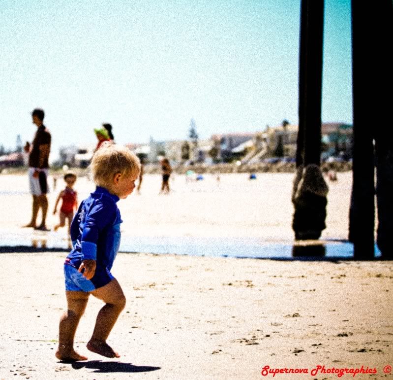 IMAGE: http://i12.photobucket.com/albums/a225/supernova74/IMG_5167.jpg