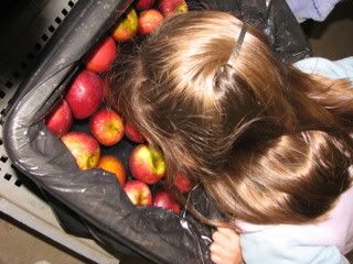 Samantha bobs for apples