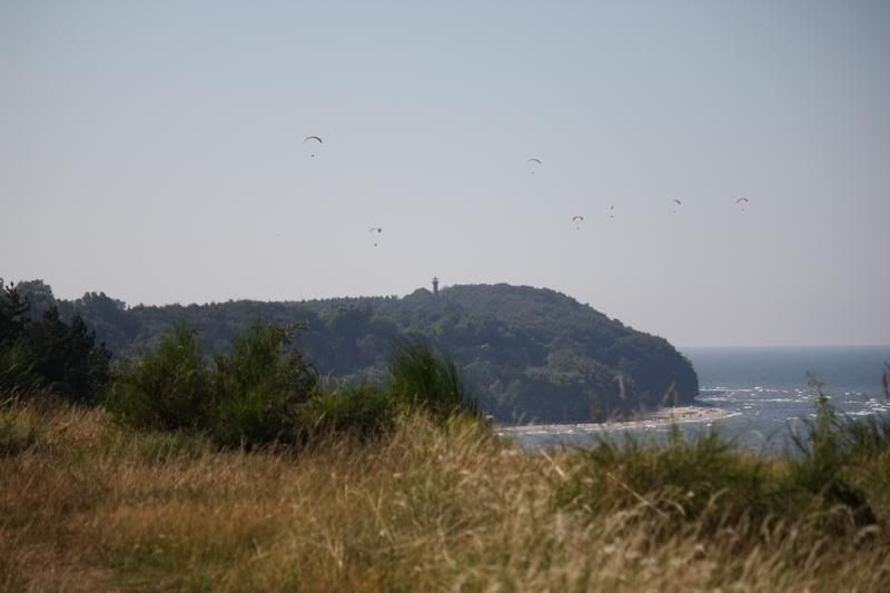Dołączona grafika