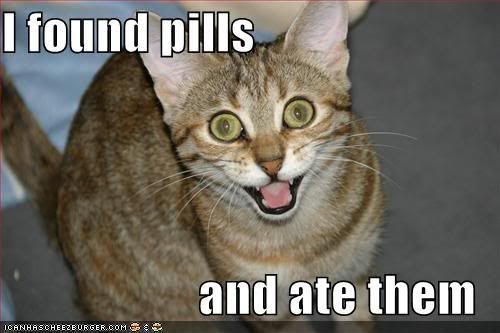 lolcat-funny-picture-found-pills-at.jpg