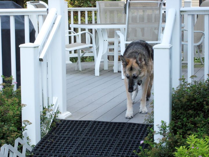 Sheba's new ramp German Shepherds Forum