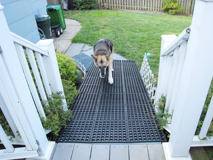 Sheba's new ramp German Shepherds Forum