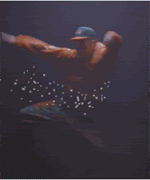 Icebug.gif image by powerpac