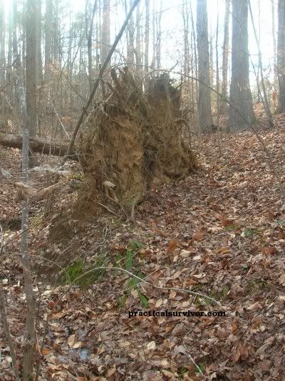 lean to shelter