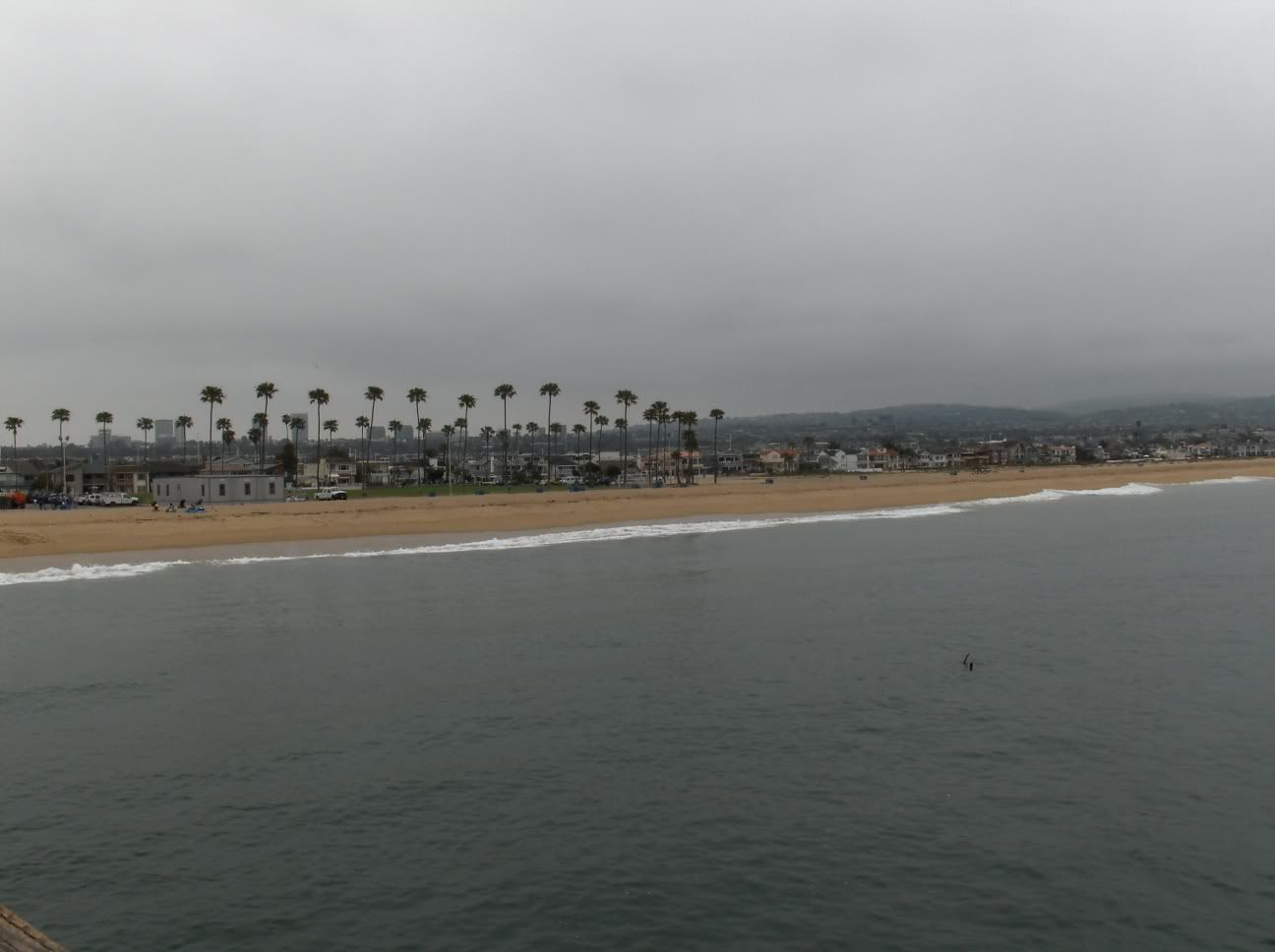 http://i12.photobucket.com/albums/a229/ITGeek/LA%20Trip/HPIM1274.jpg
