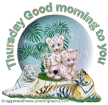 gm thursday