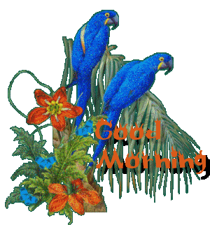 good morning