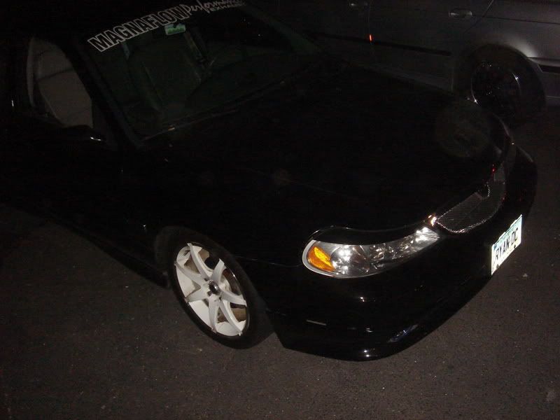 DSC03704.jpg