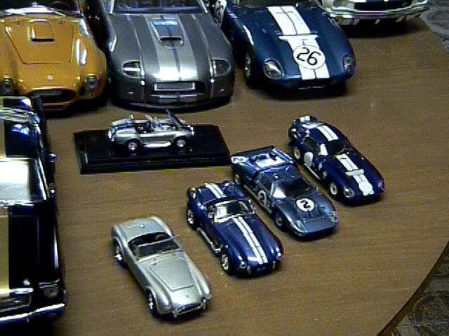 shelby13.jpg