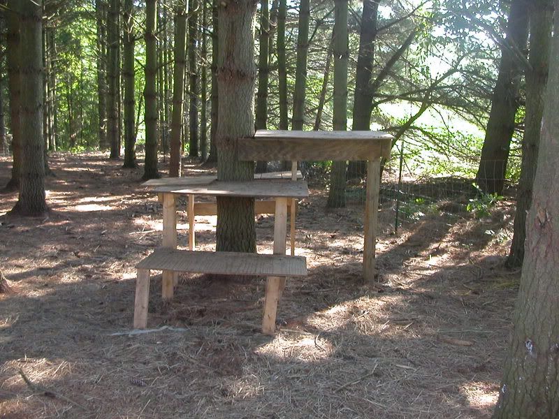 Goat "toy" questions - Goats