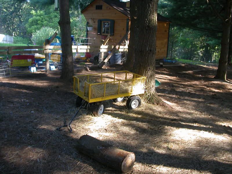 pictures of your pens? - Goats