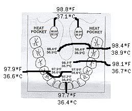 temps.jpg picture by cindyblinky