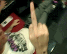 biabFIN.gif