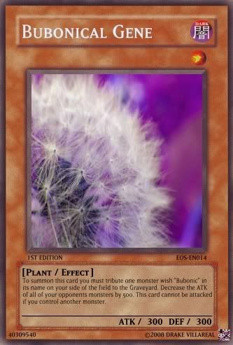EOS-BubonicalGene-014.jpg