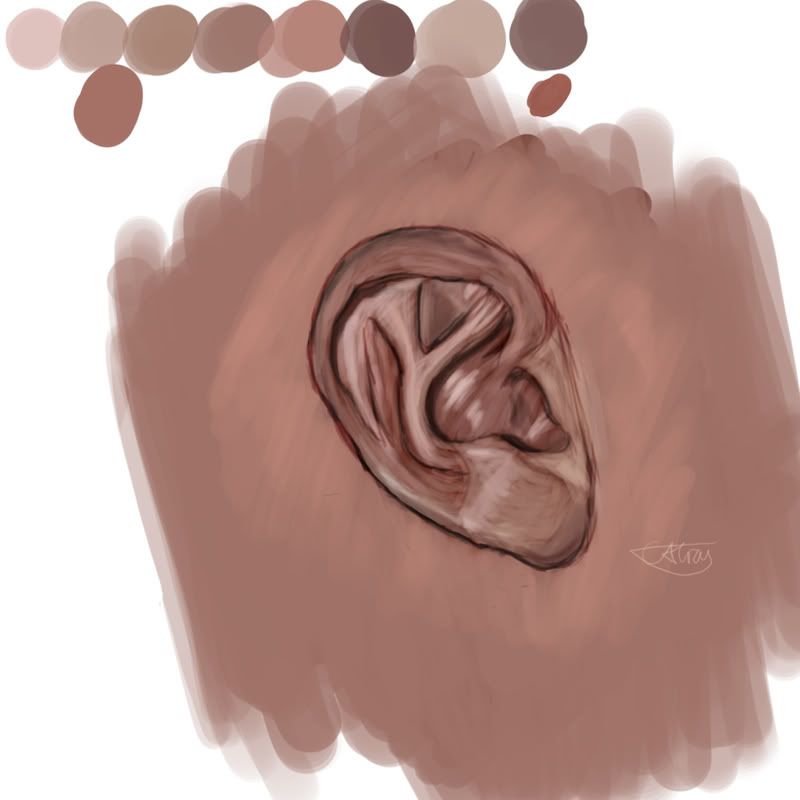earcopy2-1.jpg