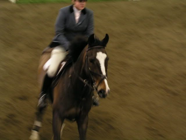 P1010133.jpg
