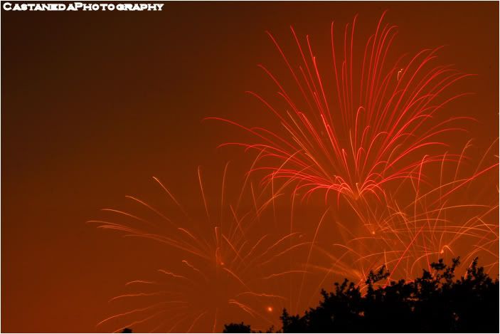 IMAGE: http://i12.photobucket.com/albums/a237/robertcasta/Fireworks12.jpg
