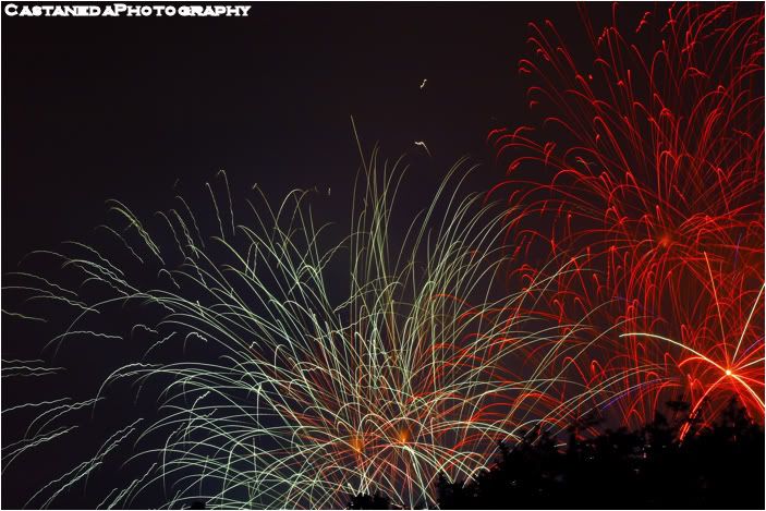 IMAGE: http://i12.photobucket.com/albums/a237/robertcasta/Fireworks15.jpg