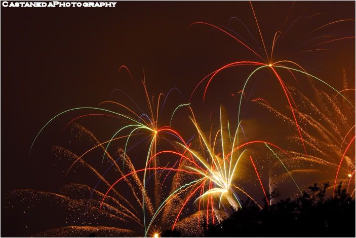 IMAGE: http://i12.photobucket.com/albums/a237/robertcasta/Fireworks16.jpg