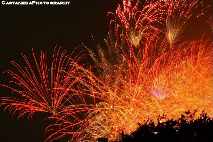 IMAGE: http://i12.photobucket.com/albums/a237/robertcasta/Fireworks18.jpg