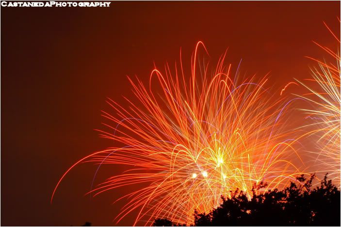 IMAGE: http://i12.photobucket.com/albums/a237/robertcasta/Fireworks19.jpg