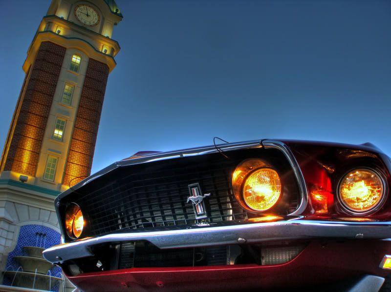 Mustang14.jpg