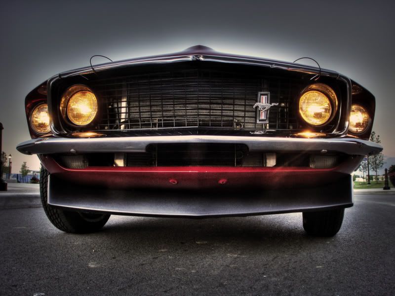 Mustang19.jpg