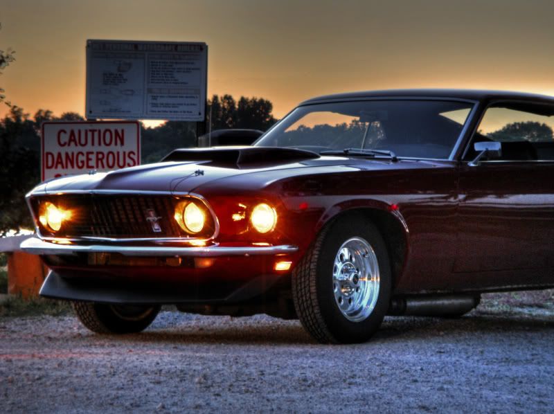 Mustang21.jpg