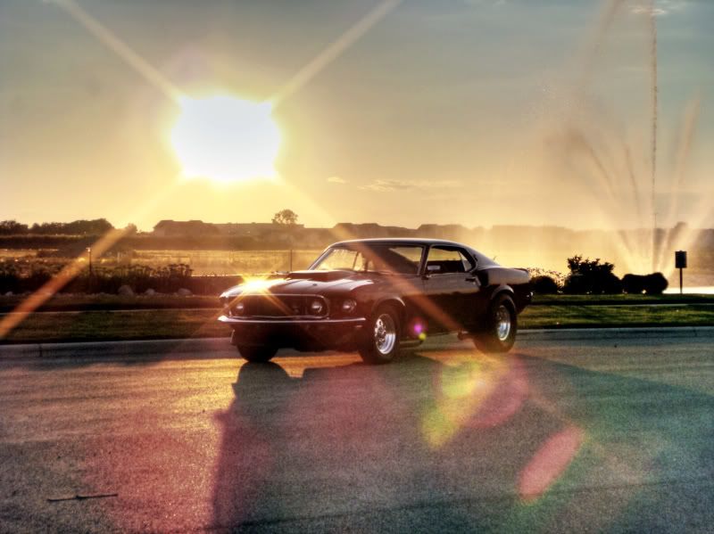 Mustang4.jpg