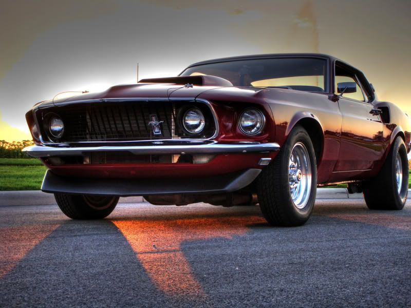 Mustang8.jpg