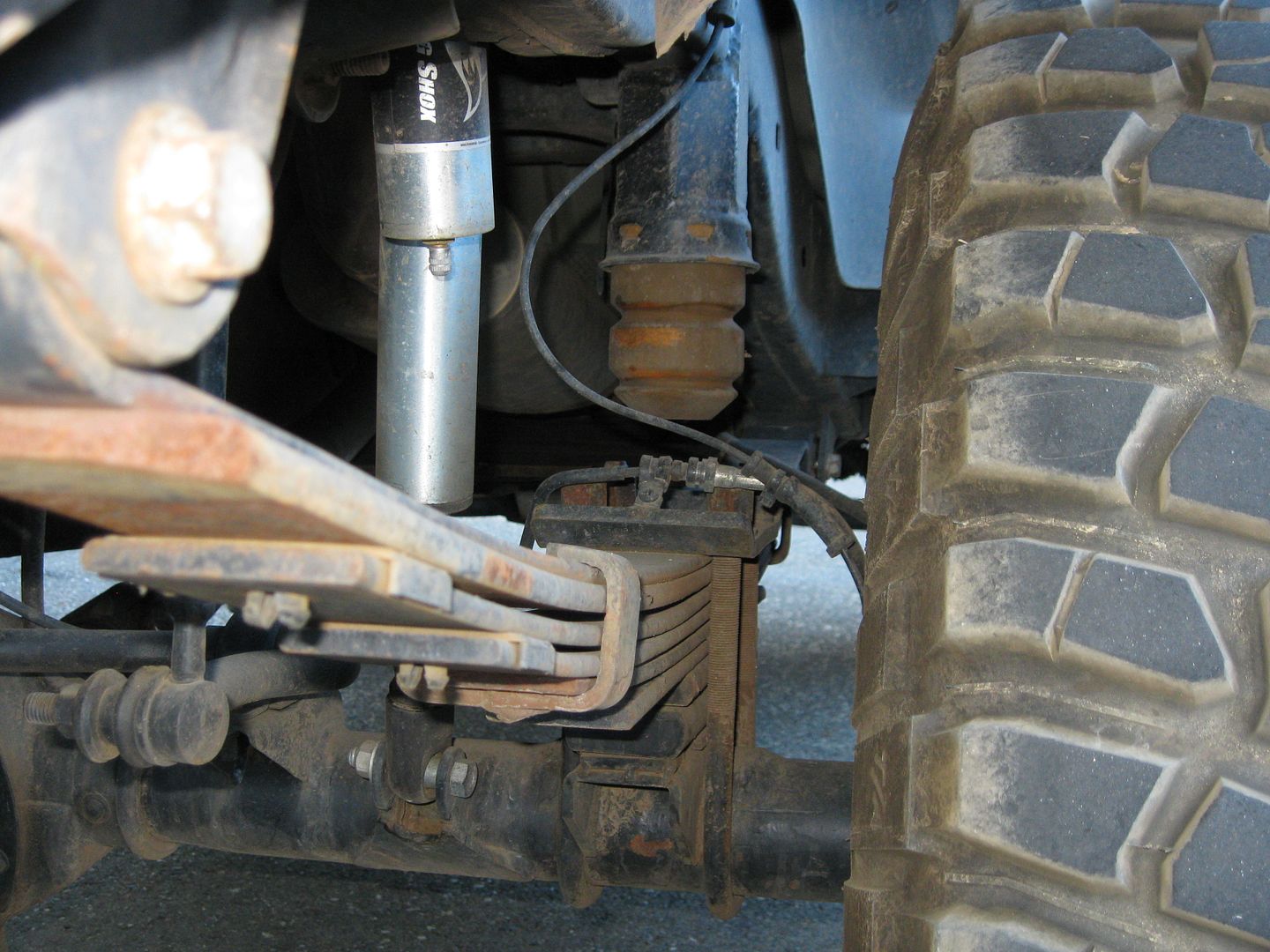 rearsprings006.jpg
