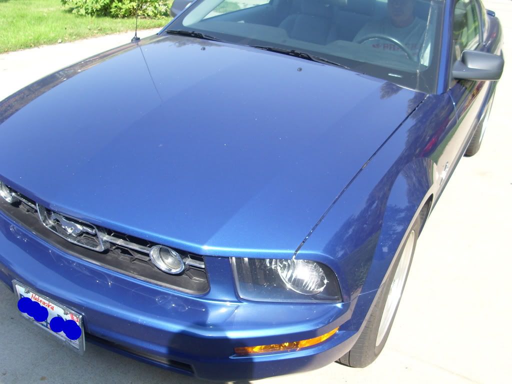 DSCI0479.jpg