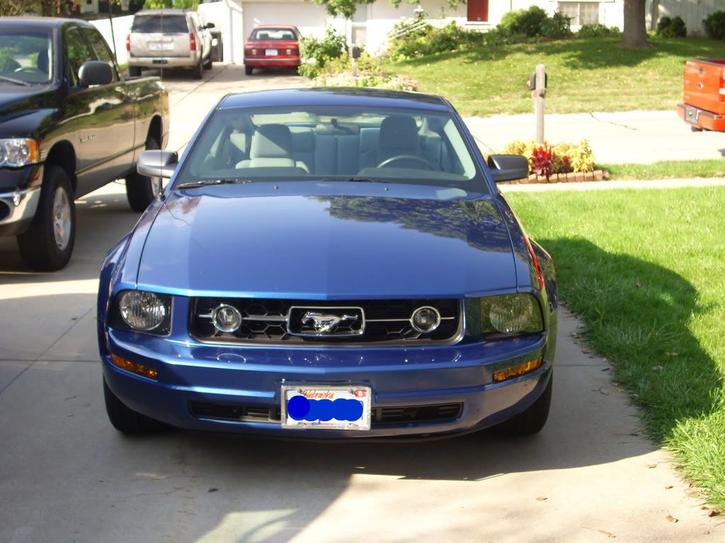 DSCI0487.jpg