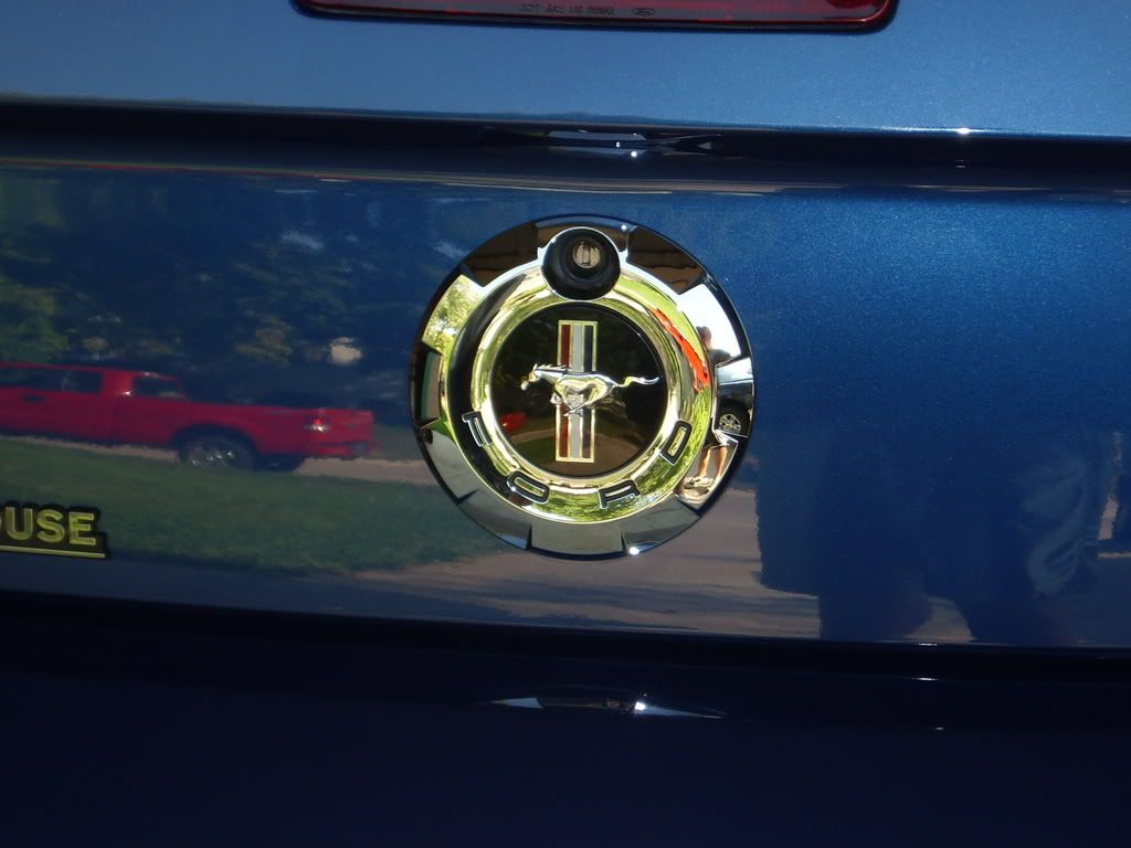 DSCI0488.jpg