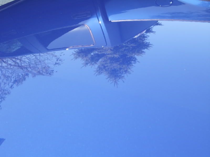 DSCI0504.jpg