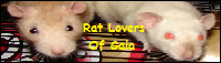 Rat Lovers Association Of Gaiaonline banner