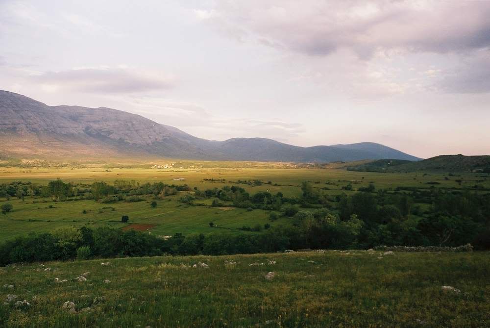 polje.jpg