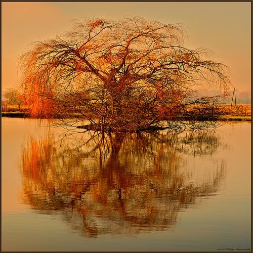 2074739350 d4248d6a90