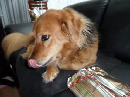 SAM_1244.jpg
