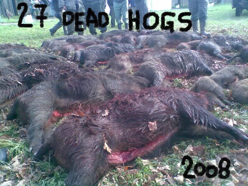 27deadhogs.jpg