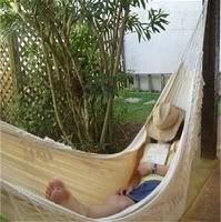 HammockGuy.jpg