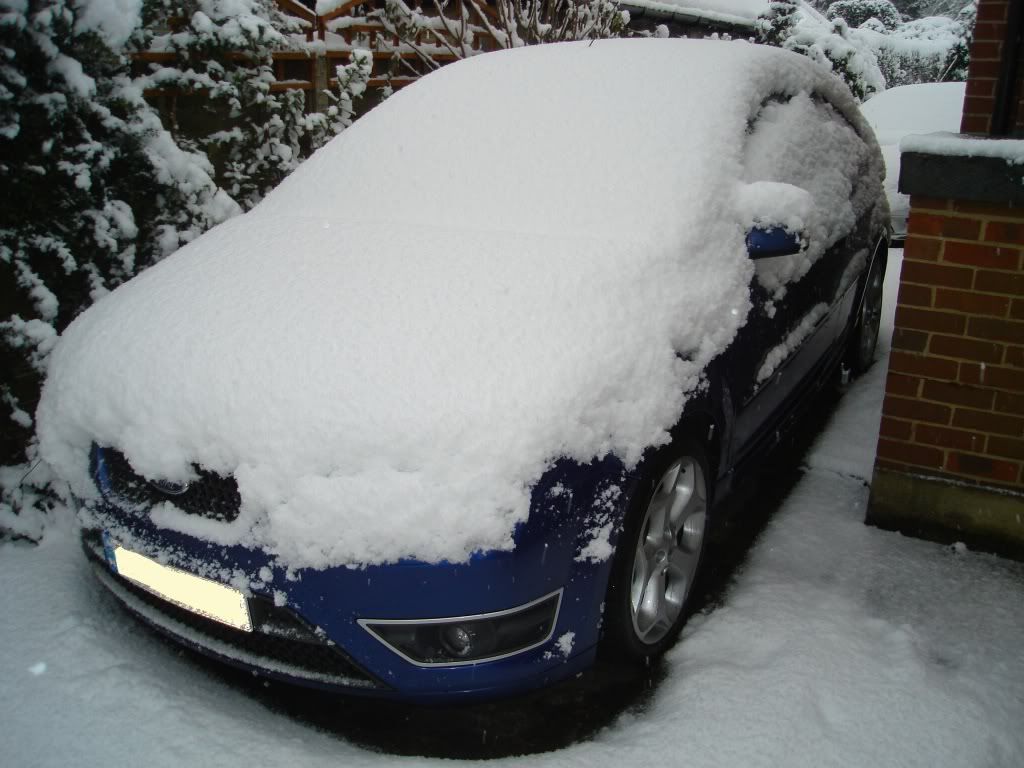 newcar.jpg
